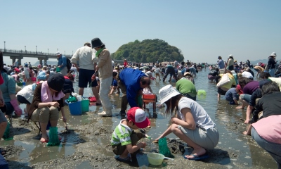 潮干狩り